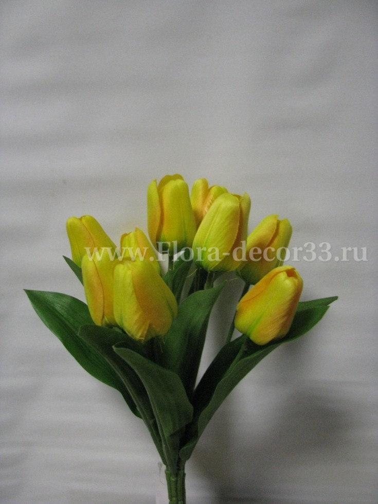 Изображение товара Букет тюльпан