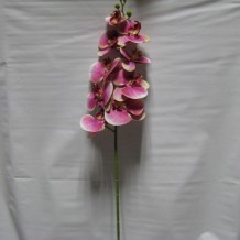 Купить искусственные цветы - Орхидея латекс