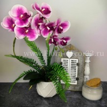 Купить искусственные цветы - Орхидея латекс  в керамическом кашпо