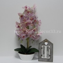 Изображение товара Орхидея латекс 3 ветки пластиковая лодочка