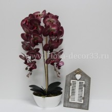 Изображение товара Орхидея латекс 2 ветки пластиковая лодочка