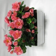 Купить искусственные цветы - Розалия