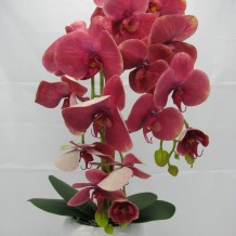 Изображение товара Орхидея 2 ветки латекс кашпо керамика