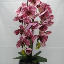 Купить искусственные цветы - Орхидея 2 ветки латекс кашпо керамика