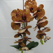Купить искусственные цветы - Орхидея 2 ветки латекс кашпо керамика