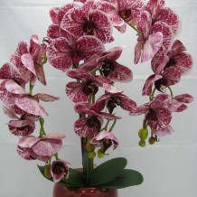 Купить искусственные цветы - Орхидея 3 ветки латекс кашпо  керамика