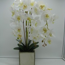 Изображение товара Орхидея 3 ветки латекс кашпо  керамика