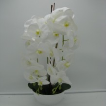Изображение товара Орхидея 2 ветки латекс кашпо пластик