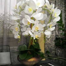Купить искусственные цветы - Орхидея латекс  в керамическом кашпо 5 веток